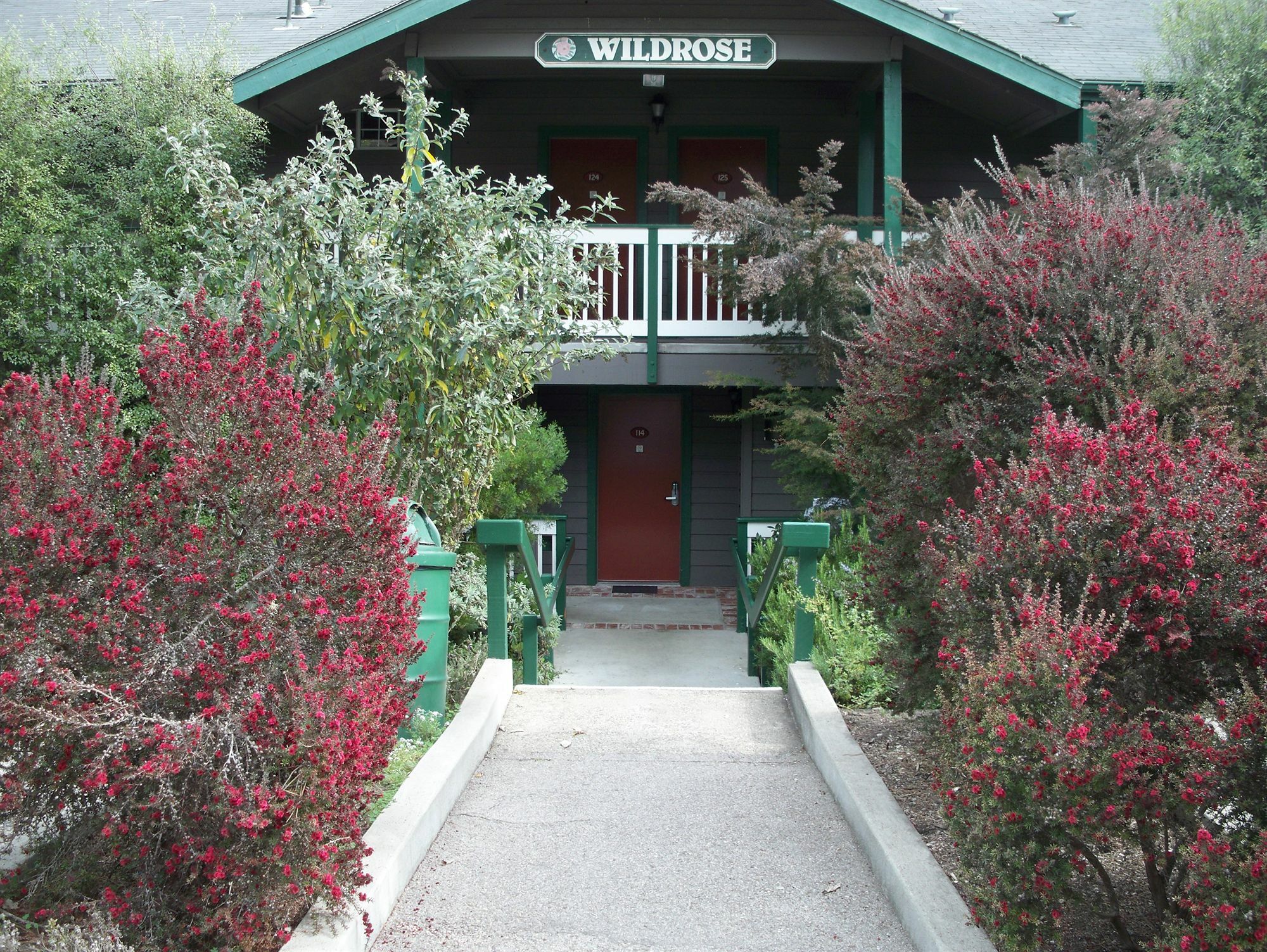 Cambria Pines Lodge Exterior photo